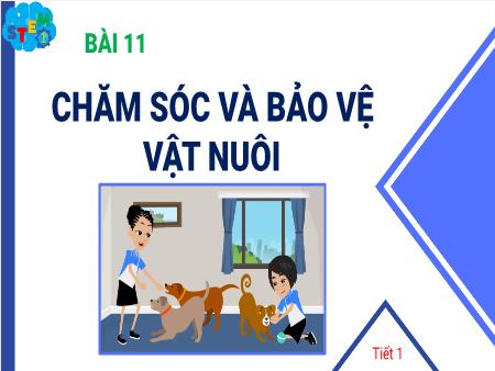 Bài giảng STEM Lớp 1 - Bài 11: Chăm sóc và bảo vệ vật nuôi