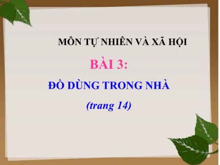 Bài giảng Tự nhiên và xã hội Lớp 1 - Bài 3: Đồ dùng trong nhà