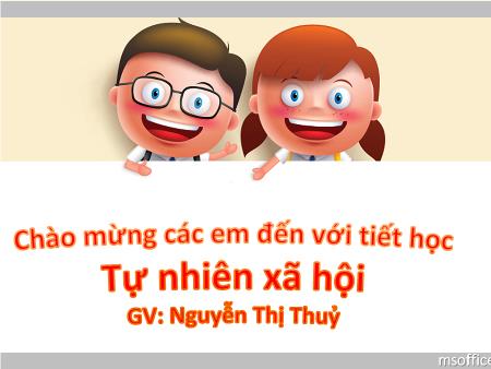 Bài giảng Tự nhiên và Xã hội Lớp 1 - Bài 8: Tết Nguyên Đán - Nguyễn Thị Thuỷ