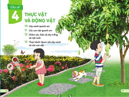 Bài giảng Tự nhiên và Xã hội Lớp 1 - Chủ đề 4: Thực vật và động vật - Bài 10: Cây xanh quanh em (Tiết 1)