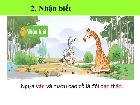 Bài giảng Tiếng Việt 1 (Kết nối tri thức) - Bài 31: An, ăn, ân