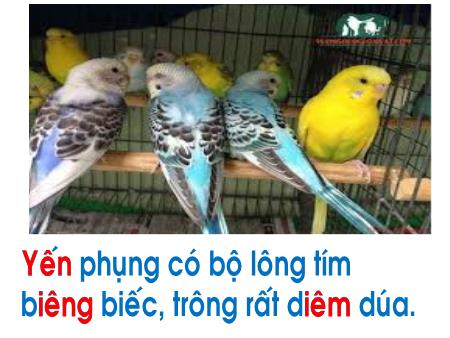 Bài giảng Tiếng Việt 1 (Kết nối tri thức) - Bài 63: Iêng, iêm, yên - Năm học 2020-2021