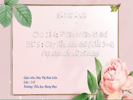Bài giảng Tiếng Việt 1 (Kết nối tri thức) - Chủ đề 6: Thiên nhiên kì thú - Bài 5: Cây liễu dẻo dai (Tiết 3+4) - Đào Thị Kim Liên