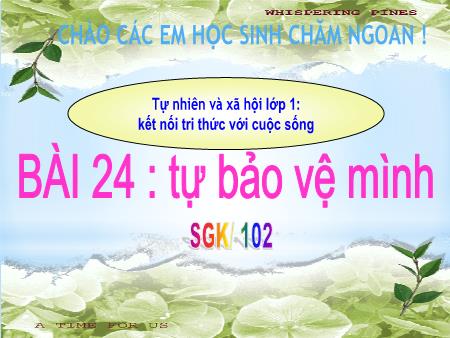 Bài giảng Tự nhiên xã hội 1 (Kết nối tri thức) - Bài 24: Tự bảo vệ mình (Trang 102)