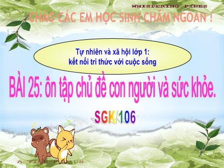 Bài giảng Tự nhiên xã hội 1 (Kết nối tri thức) - Bài 25: Ôn tập chủ đề Con người và sức khỏe (Trang 106)