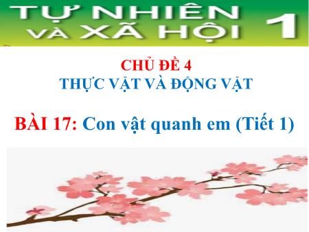 Bài giảng Tự nhiên xã hội 1 (Kết nối tri thức) - Chủ đề 4: Thực vật và động vật - Bài 17: Con vật quanh em (Tiết 1)